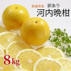訳あり 河内晩柑 8kg