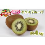 ふるさと納税 訳あり キウイ フルーツ 4kg 杉本屋 キウイキウイキウイキウイキウイキウイ F010-143002 愛媛県宇和島市