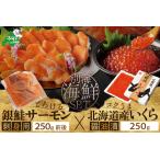 ふるさと納税 サーモン ・ いくら 海鮮福袋セット 各250g ( 海鮮福袋セット サーモン いくら イクラ 鮭卵 醤油漬け セット 北海道 人気 ふるさ.. 北海道別海町