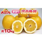 ふるさと納税 訳あり �