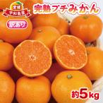 完熟プチみかん 約5kg