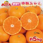 訳あり完熟早生5kg杉本屋みかん B010-143004