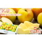 ふるさと納税 りんご 名月 5kg 2025年 令和7年発送 酸味が少なく甘さが際立つおいしいりんご 林檎 リンゴ 果物 くだもの フルーツ 旬の果物 旬.. 長野県箕輪町