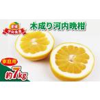 ふるさと納税 家庭用 �