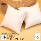 白州洗いの羽毛クッション 2個セット ダウン50%
