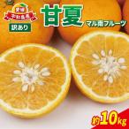 訳あり 甘夏 10kg