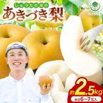 しゅうたの畑 あふれる果汁 幸水梨 6玉から7玉