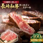 牛肉ステーキ サーロイン 計460g