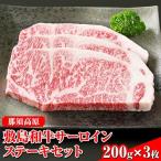 那須高原 敷島和牛サーロインステーキセット