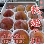 ふるさと納税 山形県産 秋姫(あきひめ) 秀品 3L以上 約1.5〜2kg(12〜18玉) 【令和7年産先行予約】FU23-443 くだもの 果物 フルーツ 山形 山形県 .. 山形県山形市