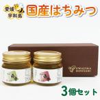 はちみつ 蜂蜜 250g×3個