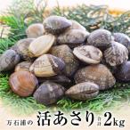 fu.... налог камень шт * десять тысяч камень .. ....(2kg) молодь жёсткой ракушки ... натуральный .plipli гарнир тест .. песок вытащенный Miyagi префектура камень шт город 