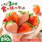 いちご 3品種食べ比べ IAP029