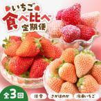 赤白いちご食べ比べ いちご IAP030
