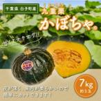 九重栗かぼちゃ 7kg