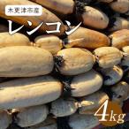 レンコン4kg