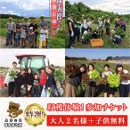特選収穫体験 参加チケット 大人2名様+子供無料