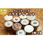 ふるさと納税 湘南茅ヶ崎の人気店 プレンティーズのアイスクリーム(バラエティセット10個) お菓子 スイーツ ひんやり デザート 夏 おしゃ.. 神奈川県茅ヶ崎市