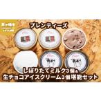 アイスクリームセット プレンティーズ ミルク