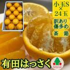 ふるさと納税 訳あり 傷多め 手詰め 有田 はっさく 小玉 S サイズ × 24玉入 南泰園 みかん 和歌山県有田川町