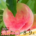 朝採れ 飛騨の桃 8-9玉 2.5kg