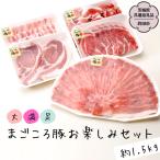 大満足 まごころ豚 お楽しみ セット 約1.5kg