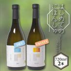 日本酒 海響 2本