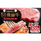 ふるさと納税 飛騨牛 サーロインステーキ (A5ランク) 250g×2枚 / ステーキ ステーキ ステーキ ステーキ ステーキ ステーキ サーロインステ.. 岐阜県恵那市