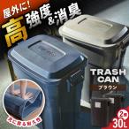 ゴミ箱 ふた付き 30L