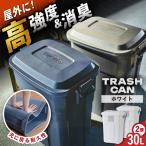 ゴミ箱 ふた付き 30L