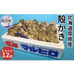 厚岸産牡蠣 Lサイズ 12個セット 生食用