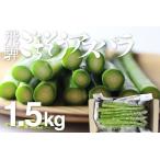 2027年産 柔らか甘いアスパラガス L~2L 1.5kg