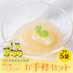 晩白柚 ペースト マキシト お手軽セット 合計740g