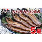ふるさと納税 藤うなぎ　かば焼き　5尾　国産うなぎ＜4.2-2＞ 宮崎県西都市