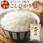 栄ファーム 大朝の米こしひかり 精米3kg