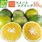 スイートスプリング ご 10kg