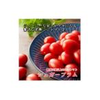 完熟ミニトマト シュガープラム Cセット 500g×2パック
