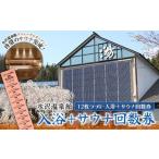 水沢温泉館 入浴+サウナ 回数券 12枚つづり