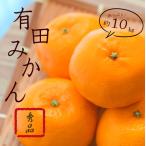 紀州有田みかん 秀品 約10kgサイズおまかせ
