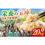 内子からり米 令和7年産ヒノヒカリ 玄米10kg×2袋