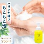 泡ハンドソープ250ml BKAZ001