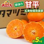 訳あり甘平5kg玉津柑橘倶楽部甘平B015-072027