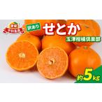 ふるさと納税 訳ありせとか5kg玉津柑橘倶楽部【せとか】B015-072028 愛媛県宇和島市
