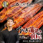 2423 訳あり 備長炭手焼き うなぎ蒲焼 10尾