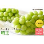 ふるさと納税 ぶどう 2025年 先行予約 ご家庭用 シャイン マスカット 晴王 3〜6房 約2kg ブドウ 葡萄 岡山県産 国産 フルーツ 果物 太陽 美しい.. 岡山県玉野市