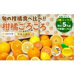 旬の柑橘食べ比べ 柑橘ごろごろ 3種