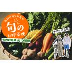 野菜 セット 8~10種類 高知 新鮮 中