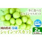冷蔵シャインマスカット マスカット