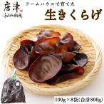 ドームハウスで育てたきくらげ 100g×8袋