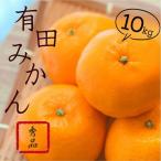 秀品 有田みかん 和歌山 S~Lサイズ 大きさお任せ 10kg